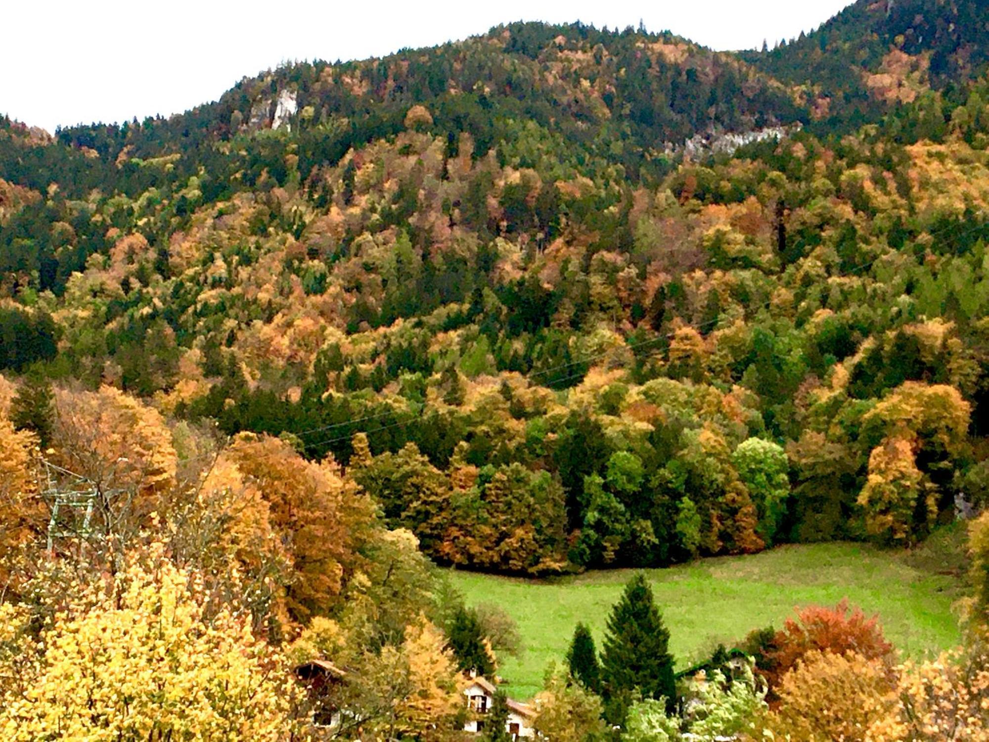 Appartment Schloss-Zeit Aschau im Chiemgau Pokój zdjęcie